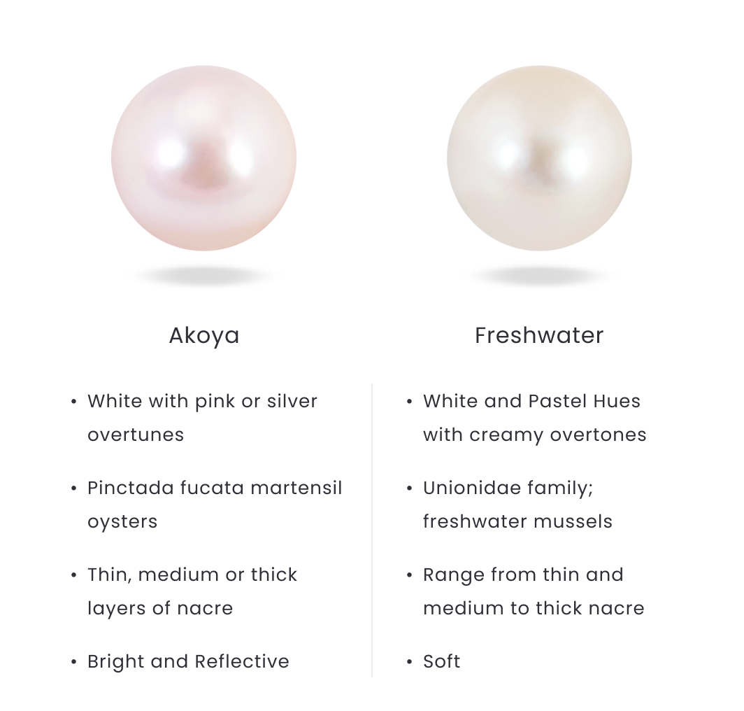 What is Mother of Pearl? Back to Basics - Pearls of Wisdom